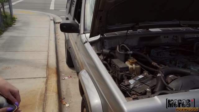 The Guy Repaired a Broken-Down Car and Slept with Its Attractive Owner